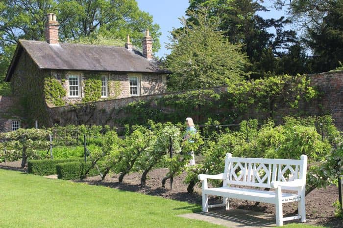 Kitchen Gardens