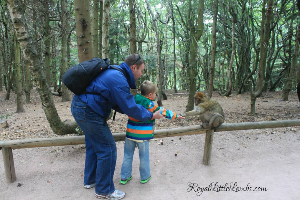 Interactive Feeding Experience