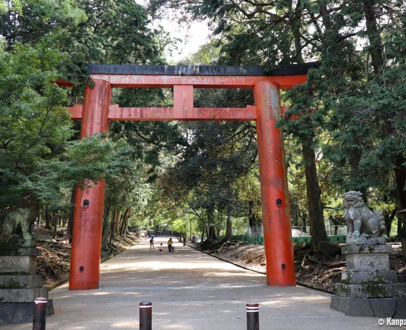 Peaceful Torii Gate