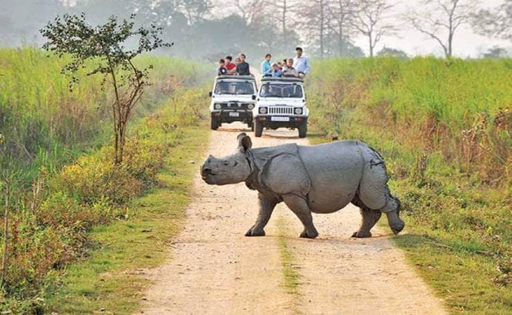 Jeep Safari Thrills