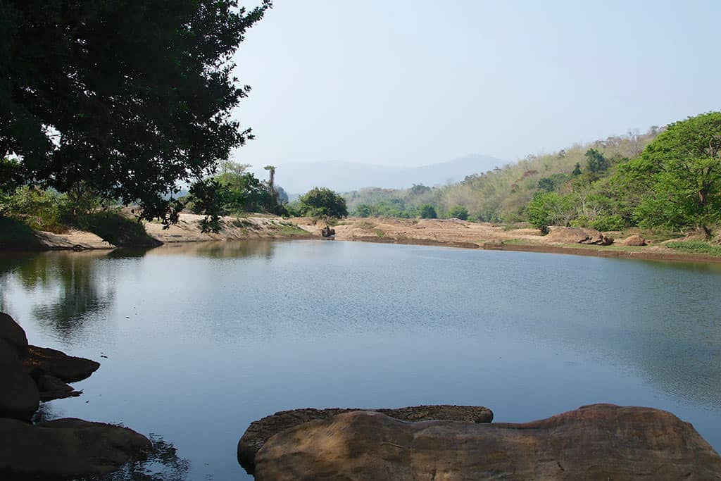 Nature Trails & Forests