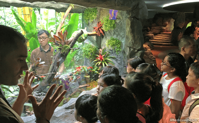 RepTopia Backstage Pass