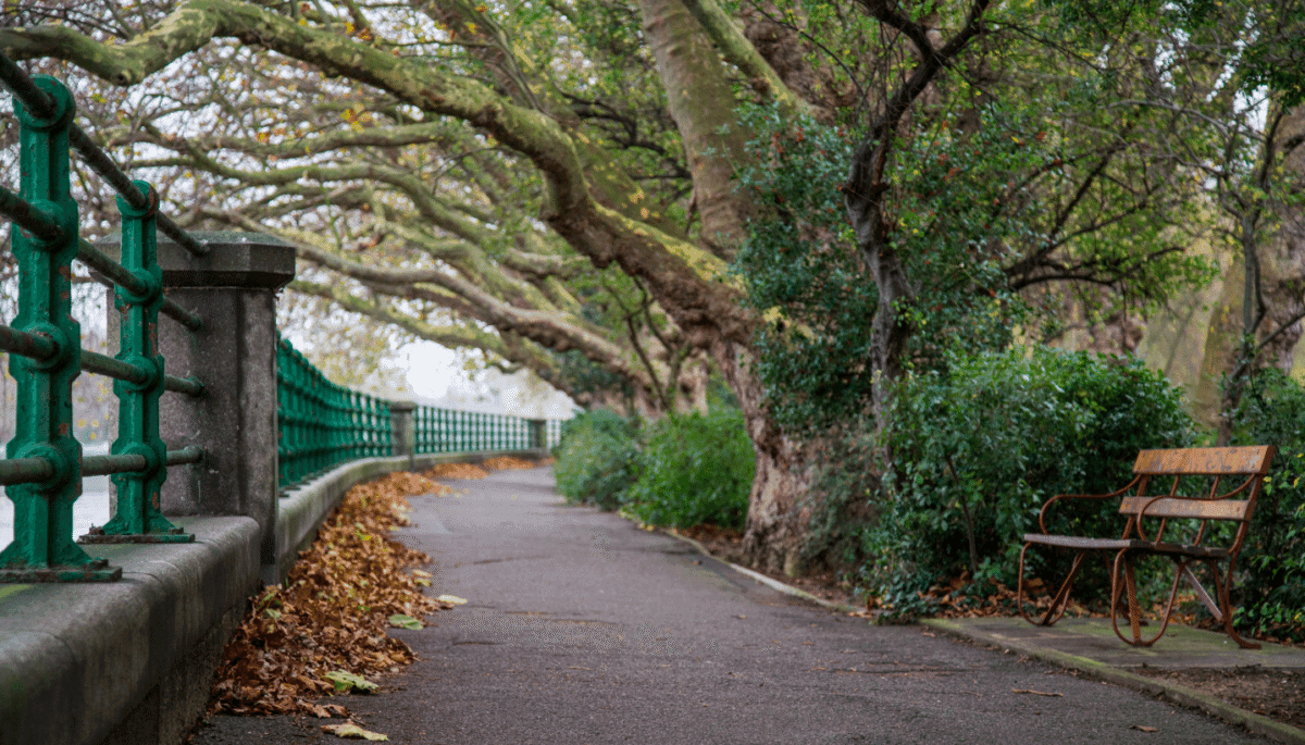 Putney to Hammersmith