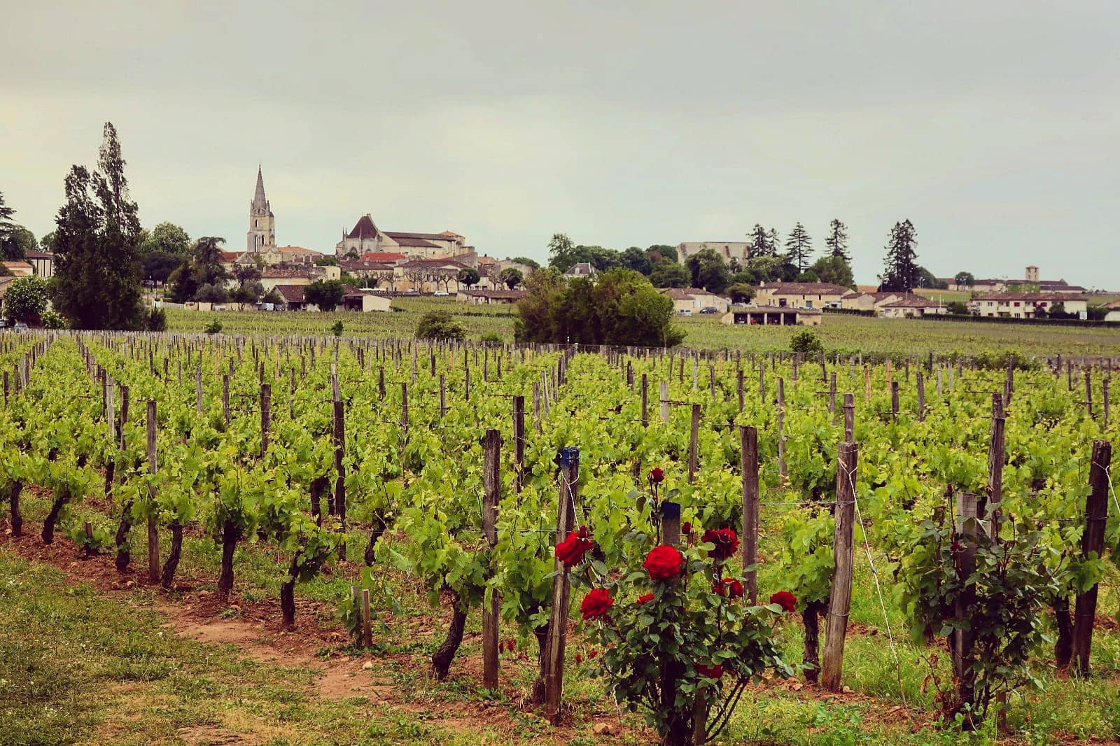 Wine Tasting Experiences