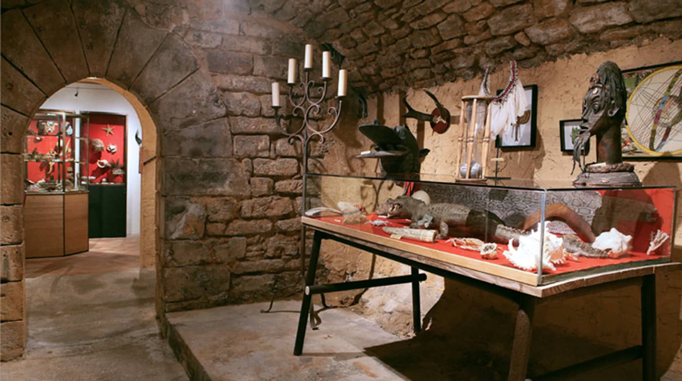Fascinating Artifact Collection