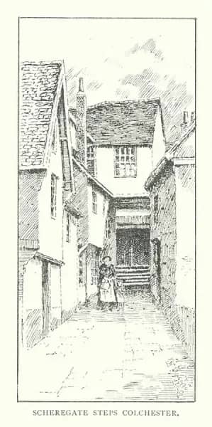 Local Art Installations