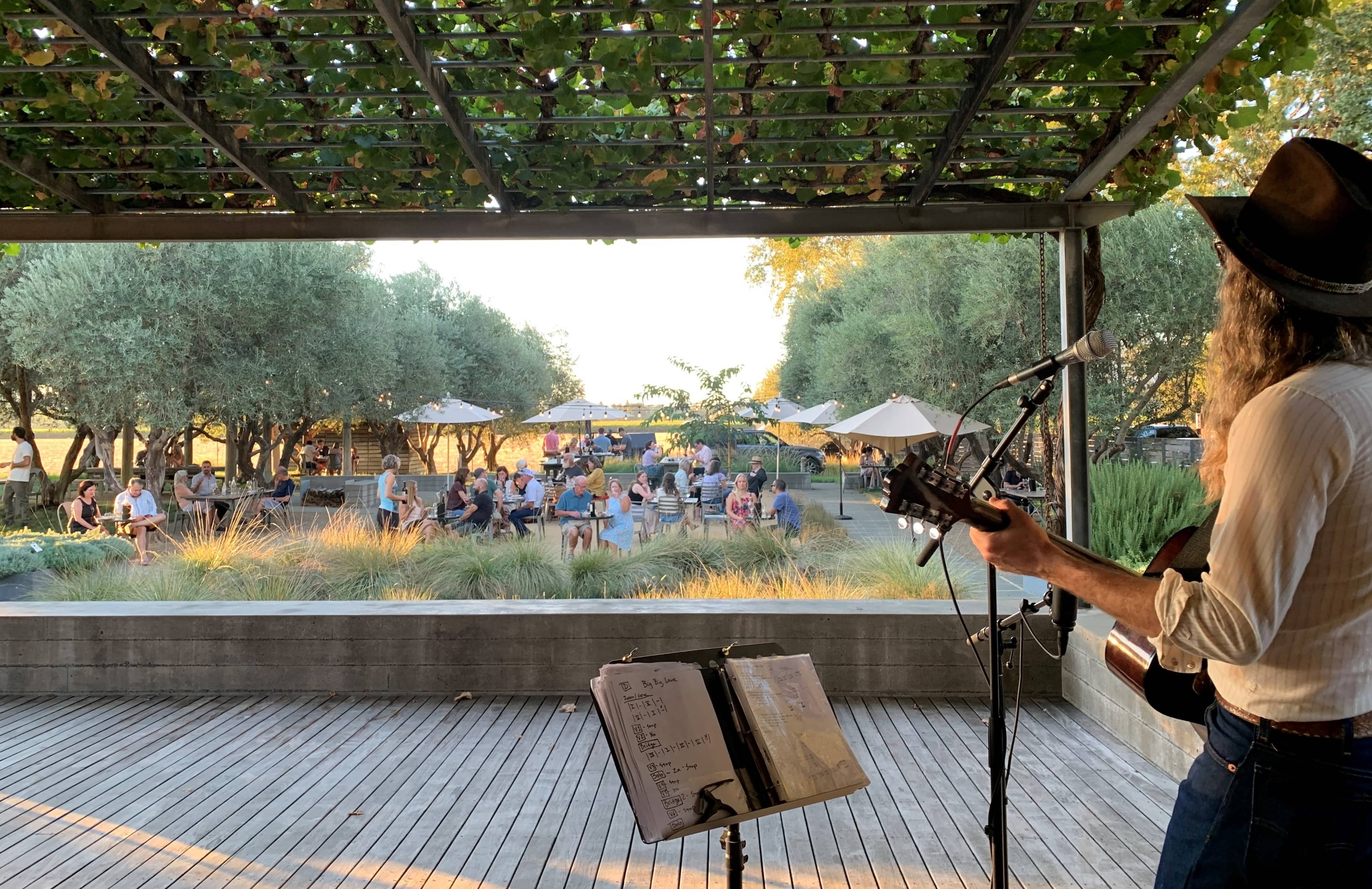 In the Vineyard with Ames Tour