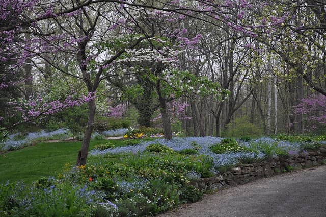 Extensive Gardens and Prairie