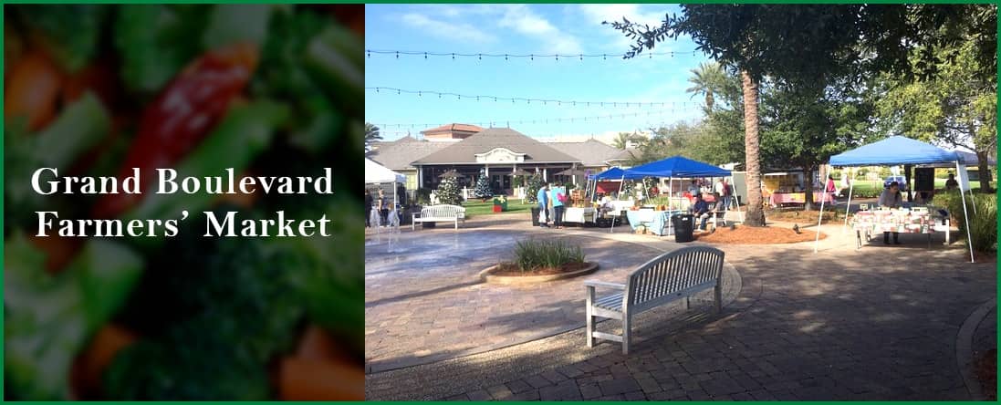 Farmers Market Finds