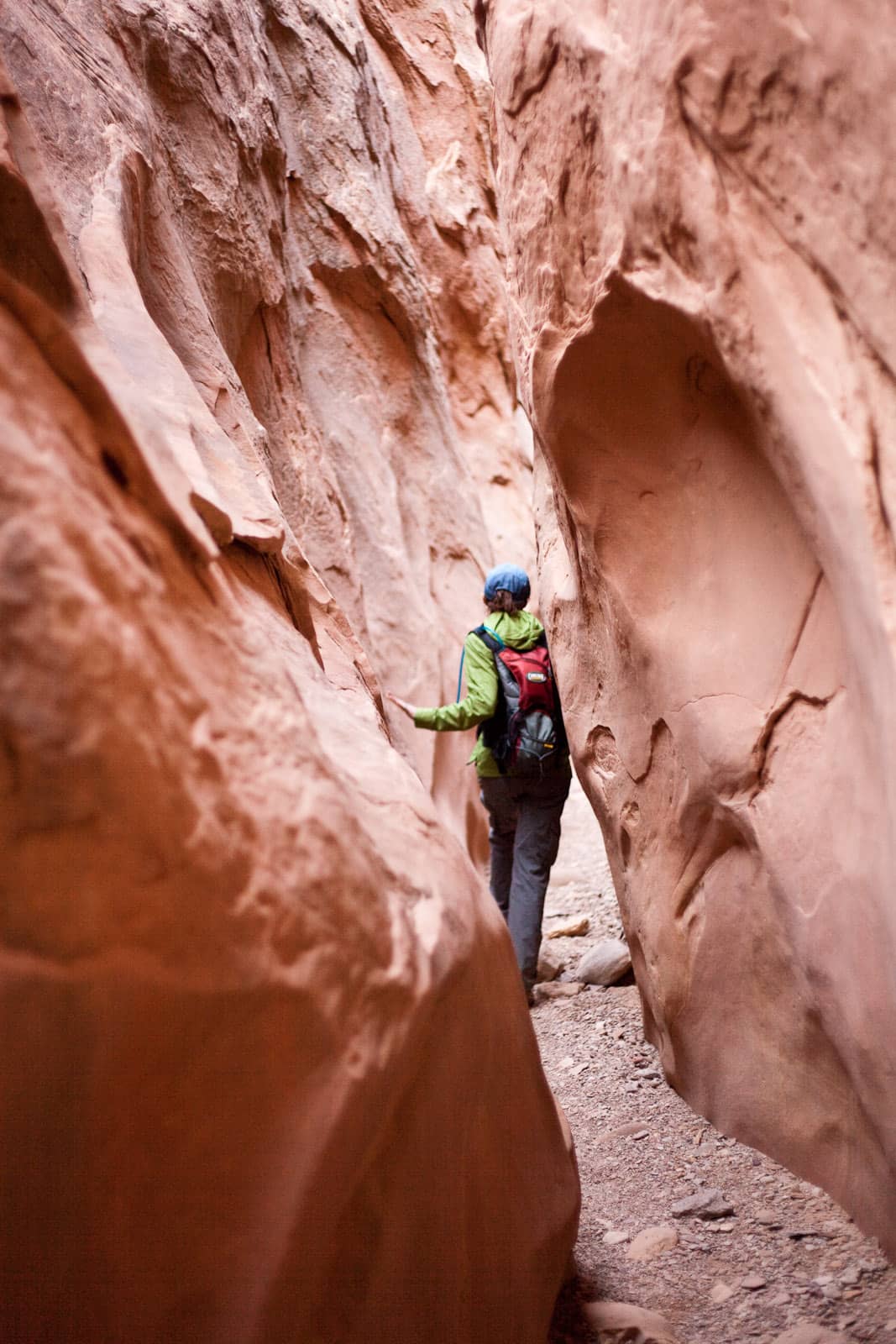 Animal Sanctuary & Camel Rides