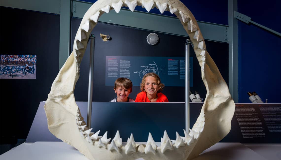 Temporary Exhibitions