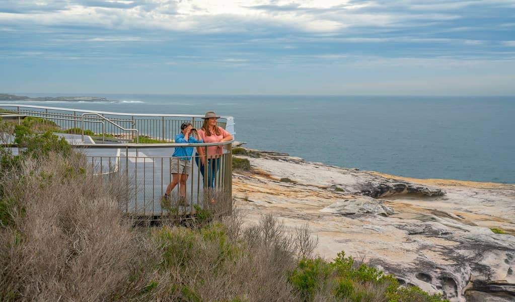 Whale Watching at Cape Solander Lookout