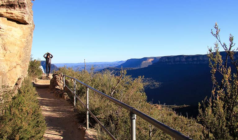 Prince Henry Clifftop Walk