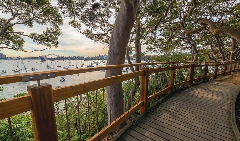 Bradleys Head to Chowder Bay Walk