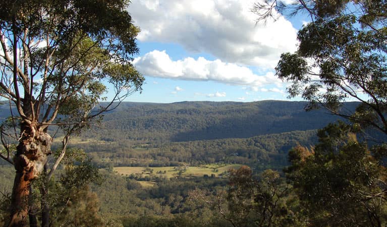 Monkey Face Lookout
