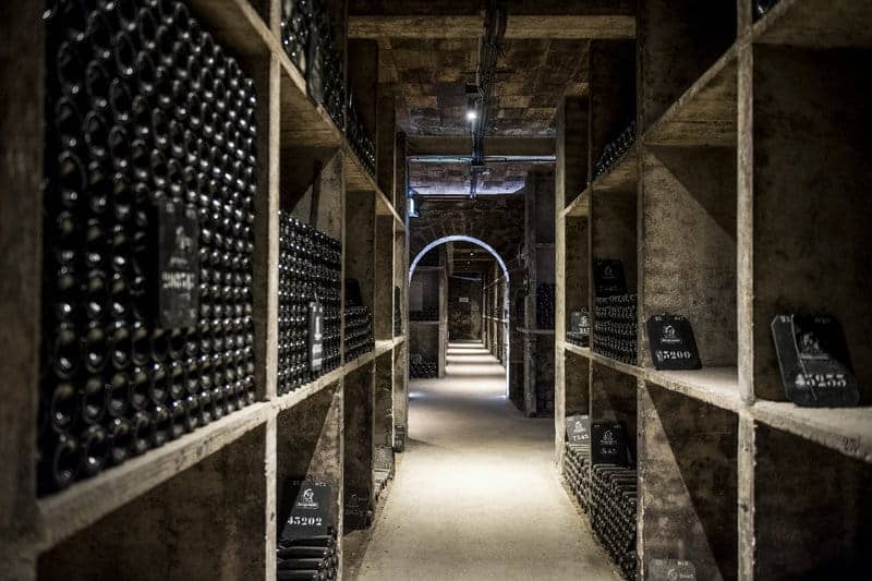 Burgundy Wine Tasting