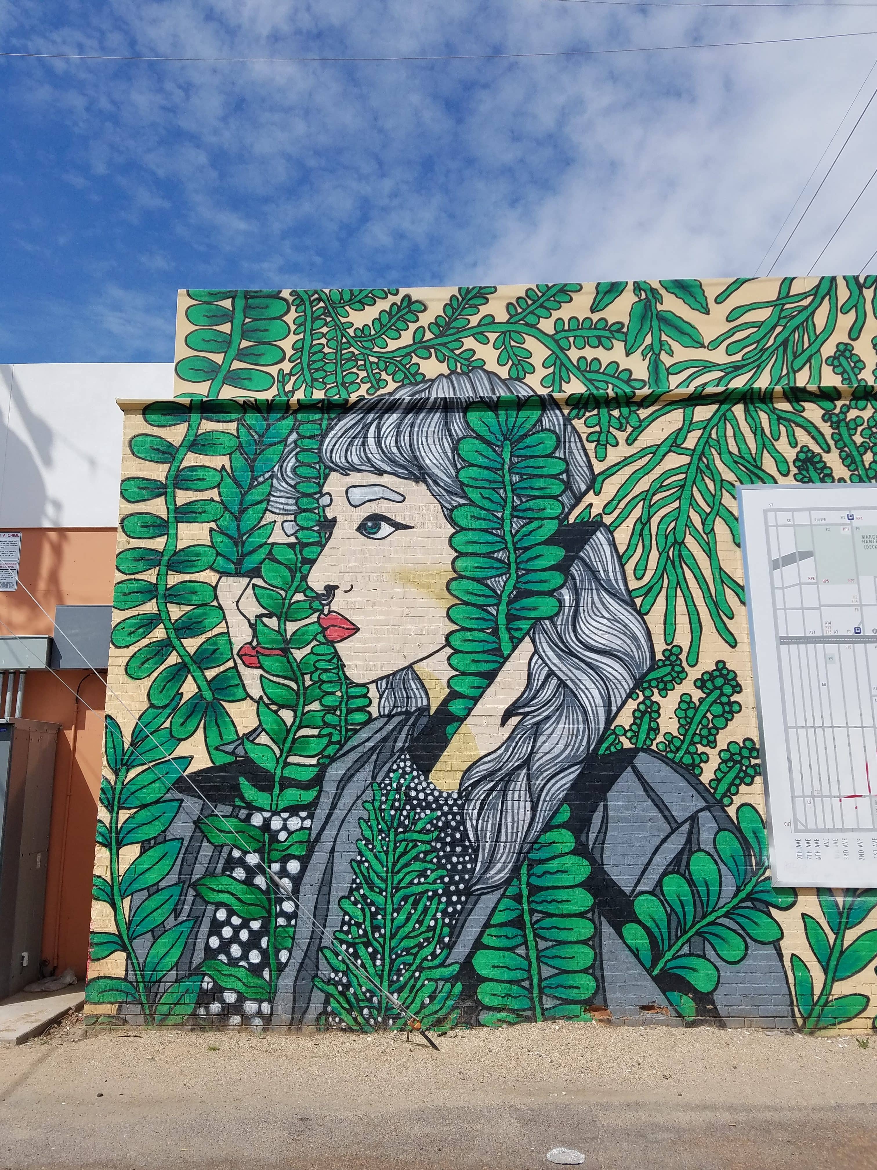 Vibrant Street Art & Murals