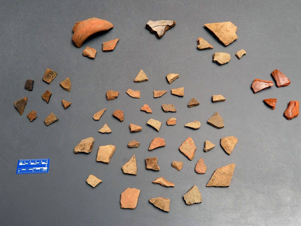 Luna Settlement Artifacts