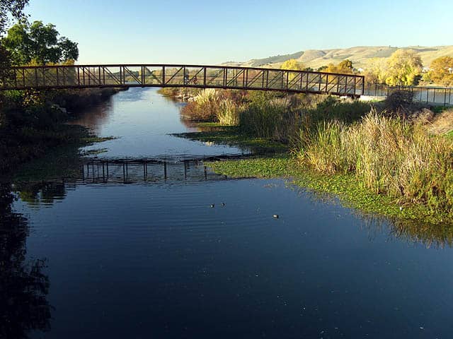 Coyote Creek Trail