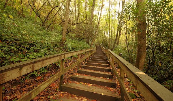 The 160 Steps