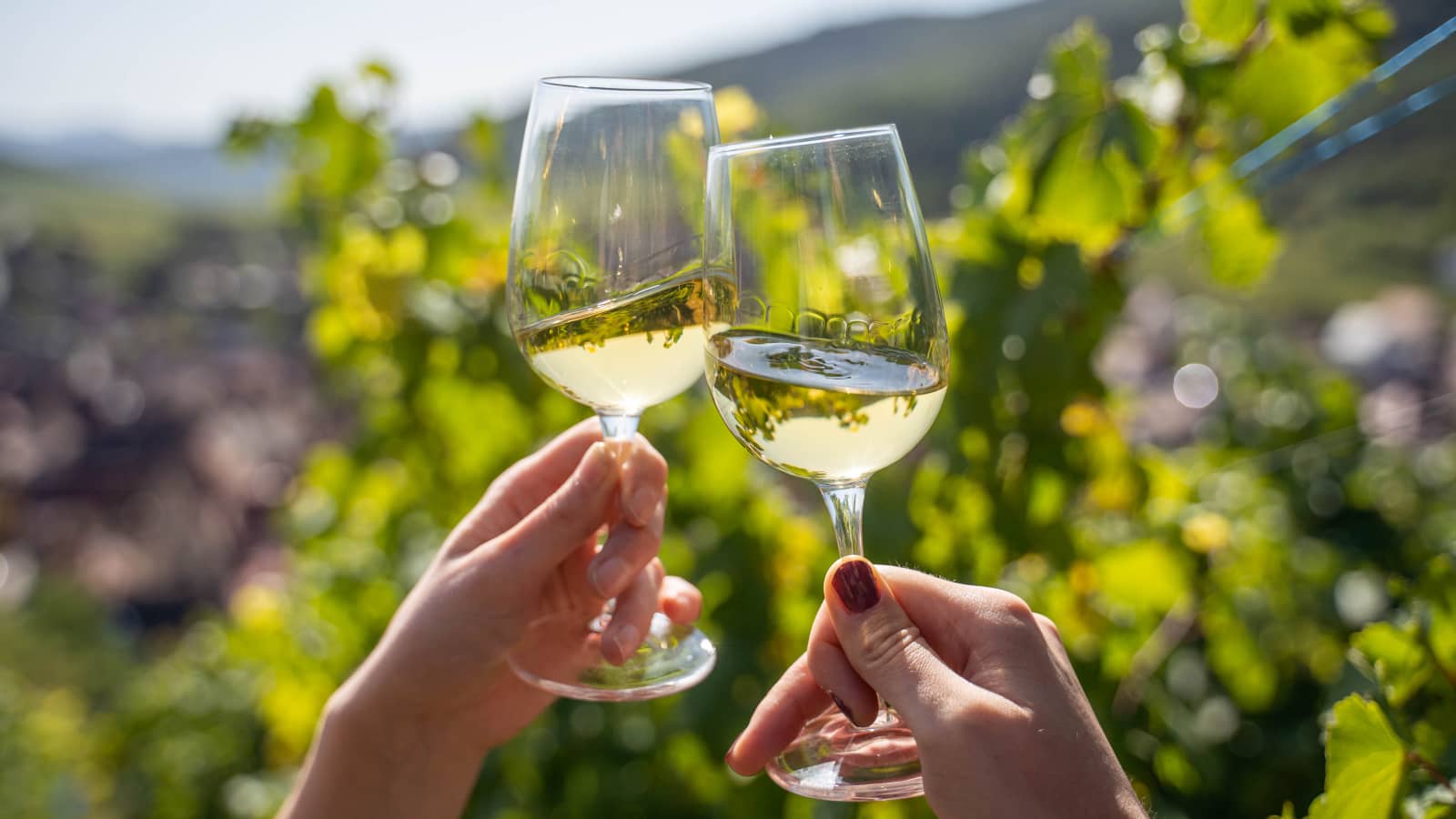 Alsatian Wine Tasting