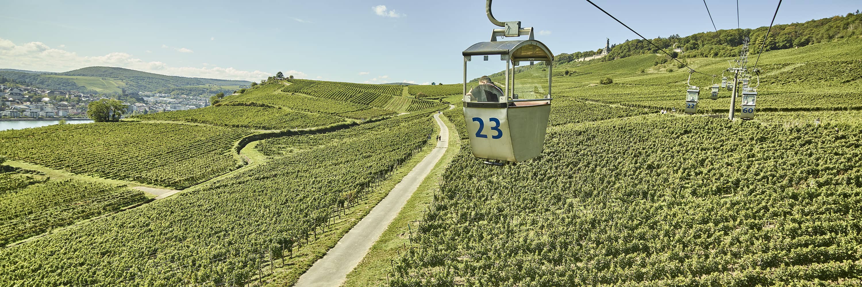 Vineyard Cable Car Ride