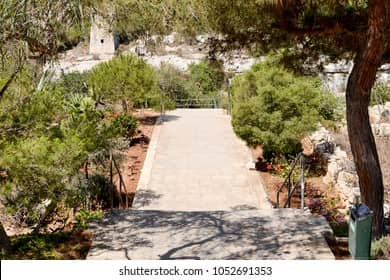 Peaceful Outdoor Garden