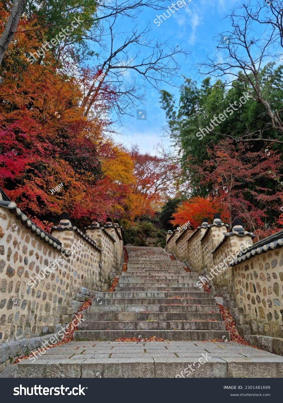 Autumn Foliage