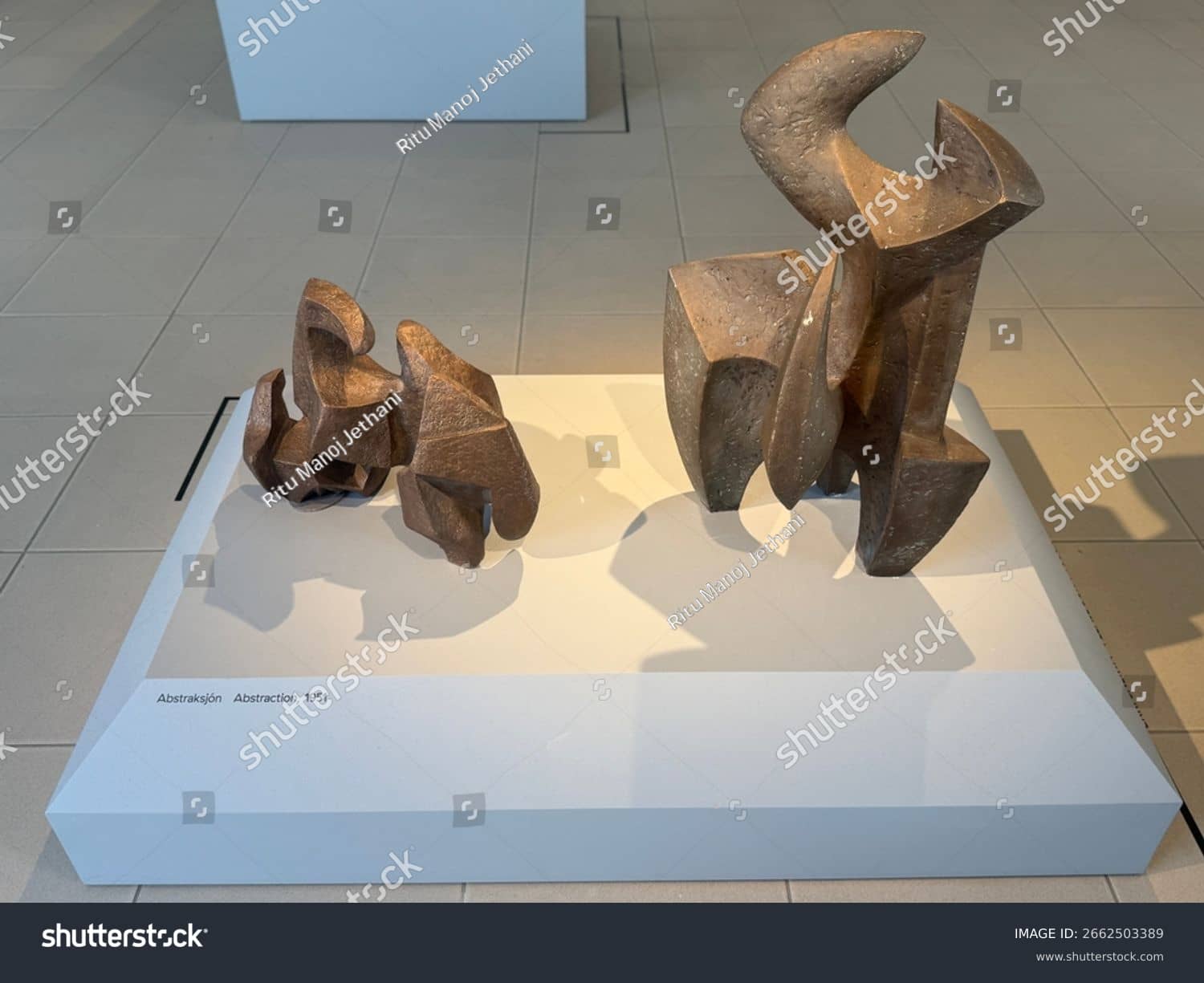 Natural Exhibition in Library