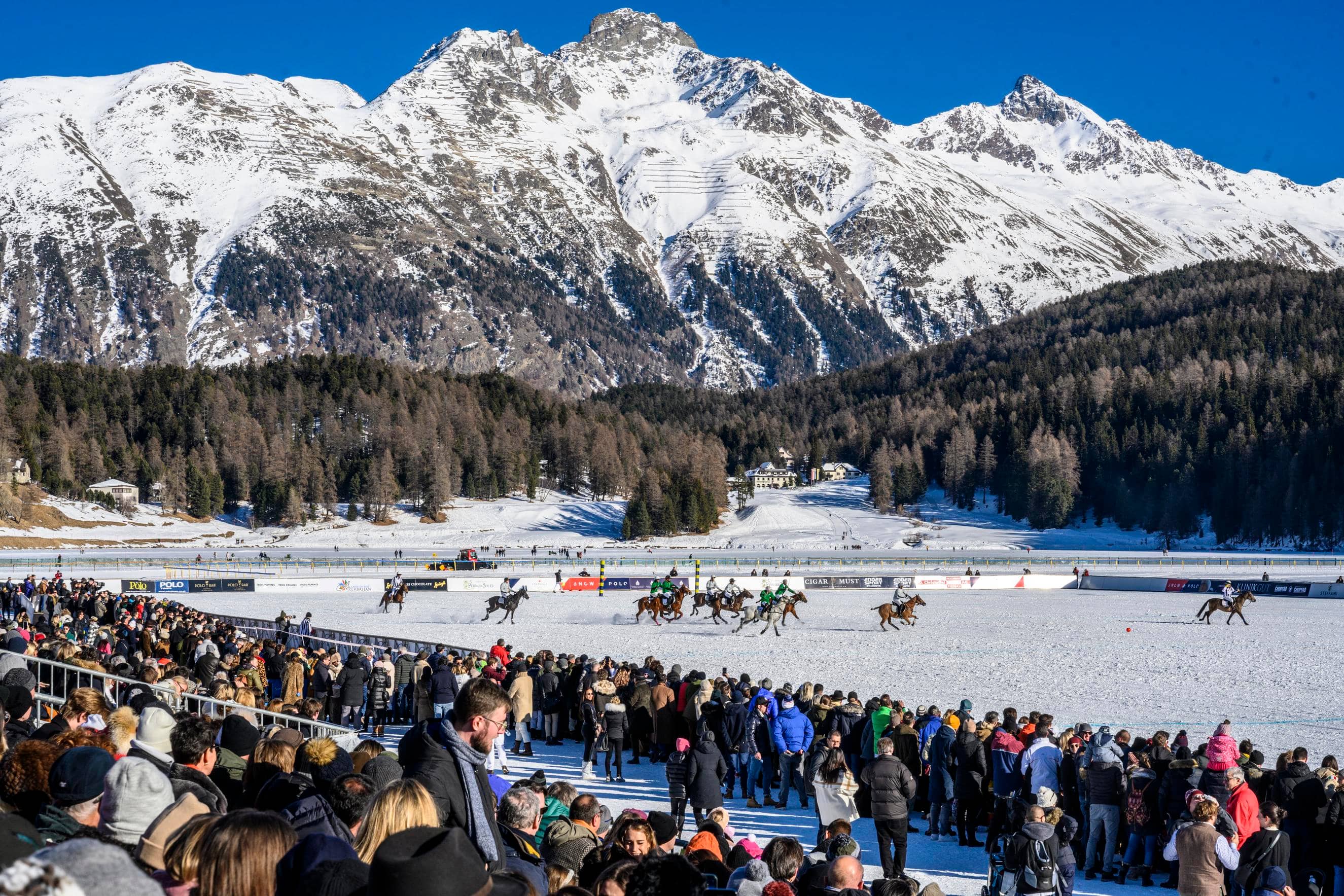 Winter Polo Matches