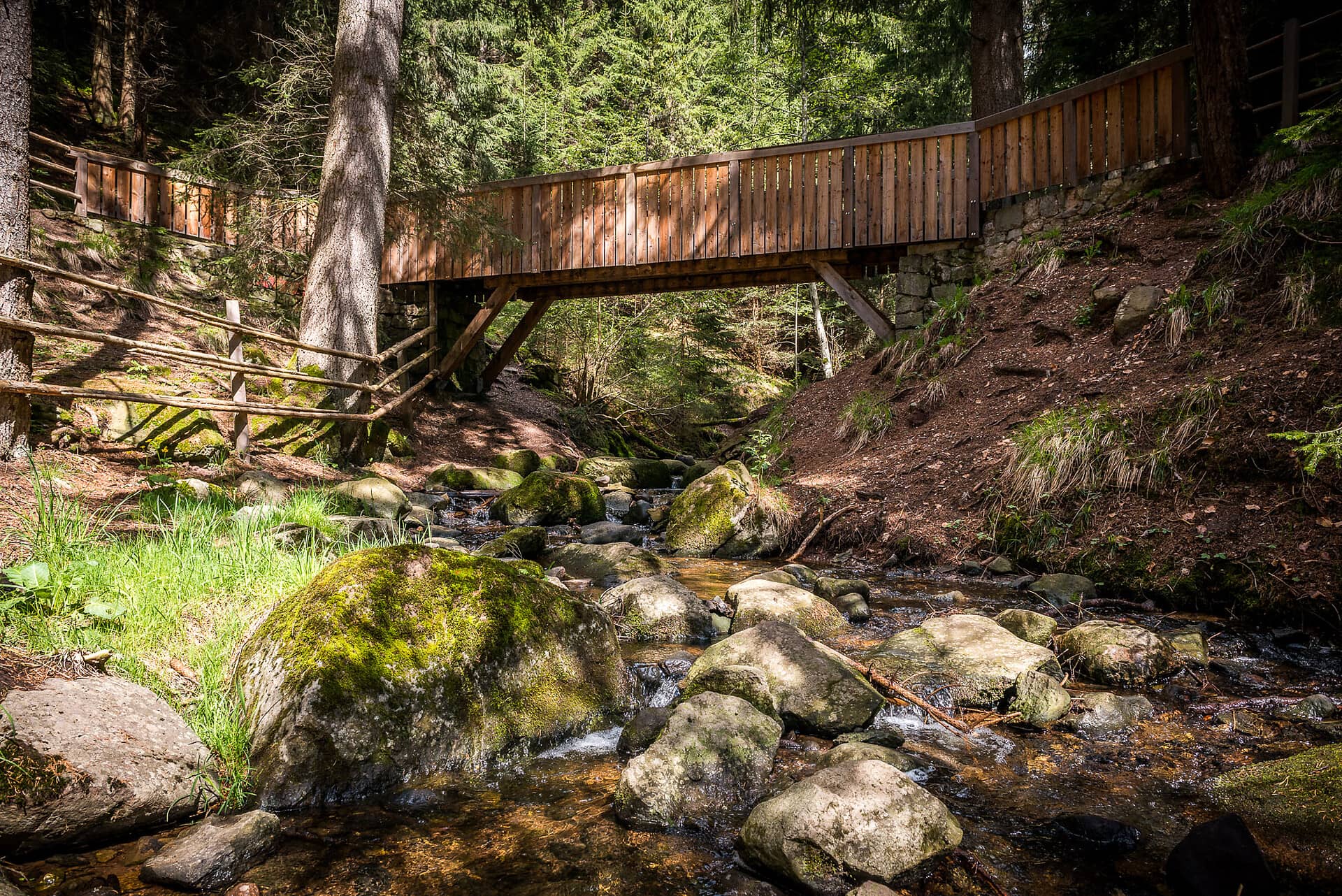 Highlights