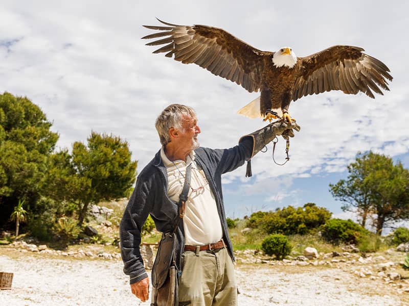 Valle de las Águilas
