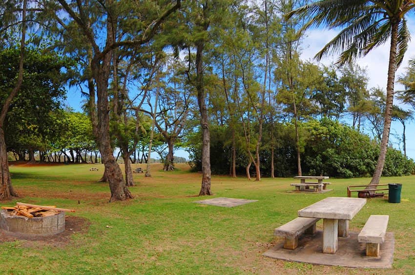Shaded Picnic & Camping Areas