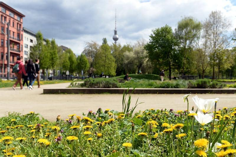 Picnic & BBQ Spots