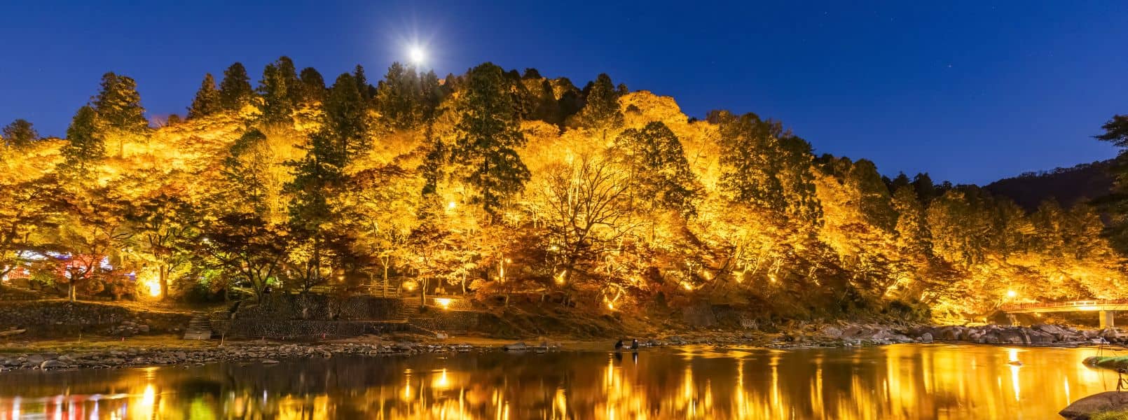 Evening Illumination