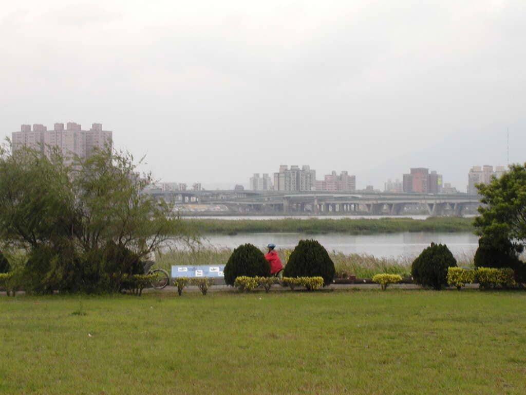 Tidal Pond Ecosystems