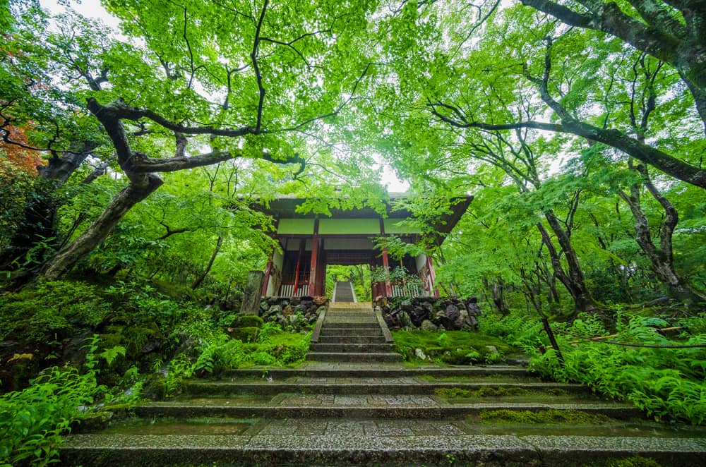 Lush Greenery & Gardens