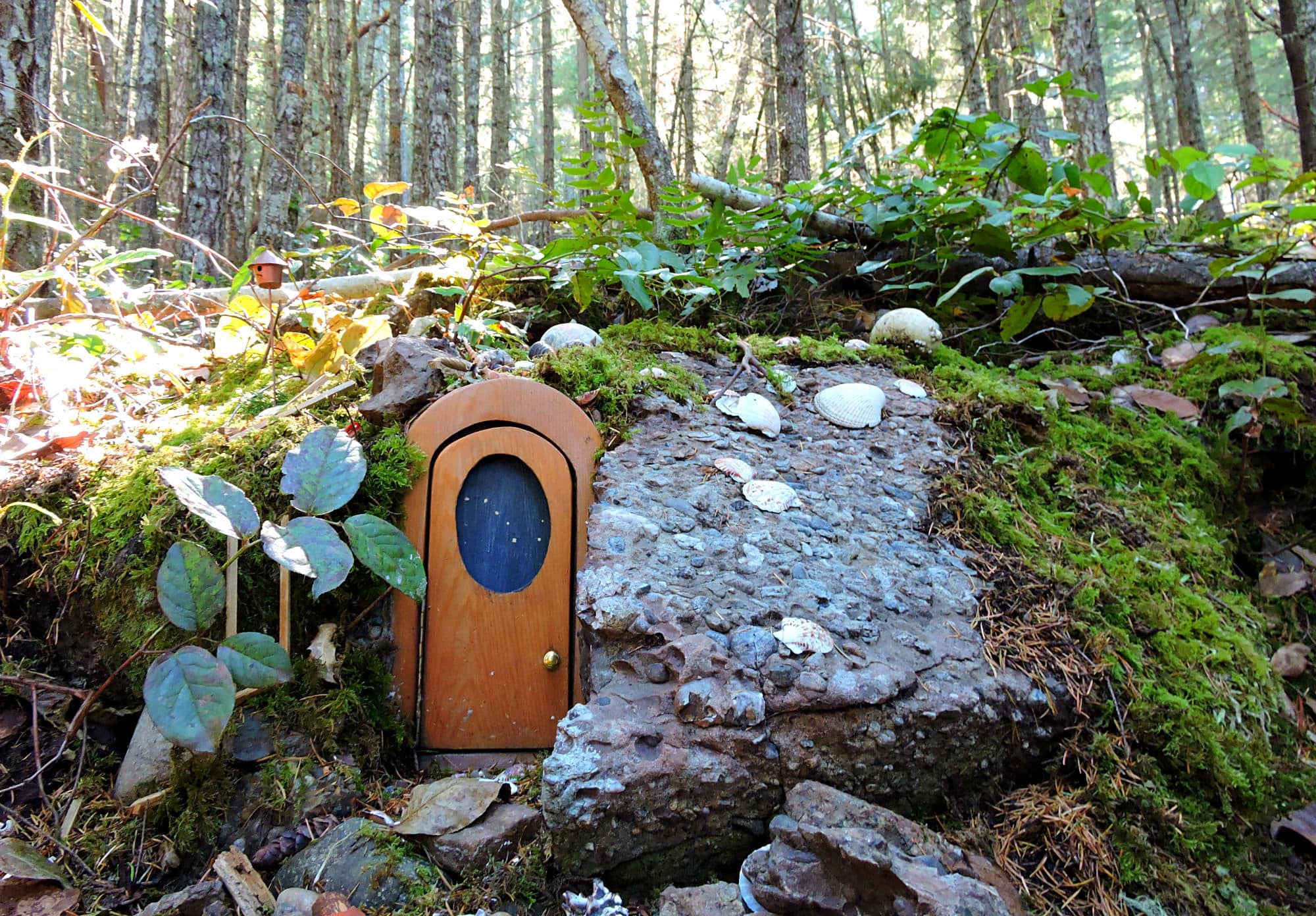 Overlook Trail & Fairy Doors