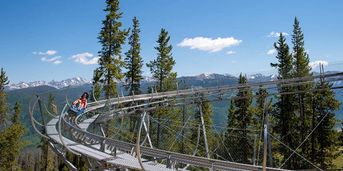 Forest Flyer Alpine Coaster