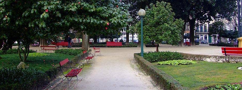 Relaxing Green Space