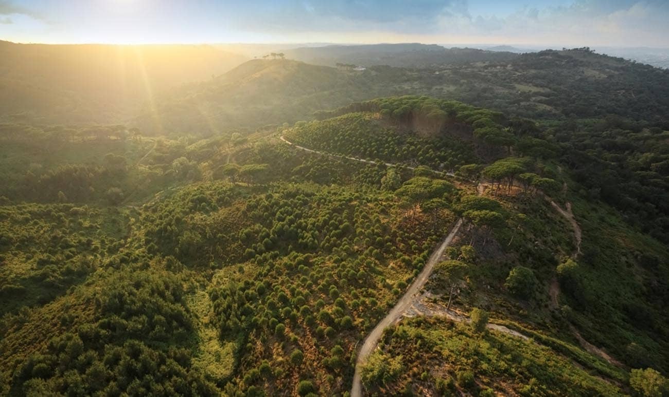 Historic Royal Hunting Grounds