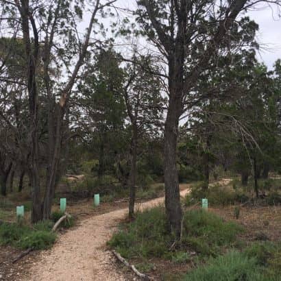 Walking Paths