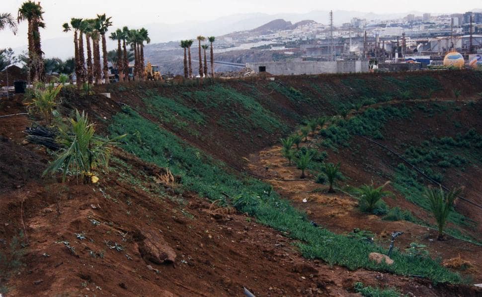 Ecological Restoration Success