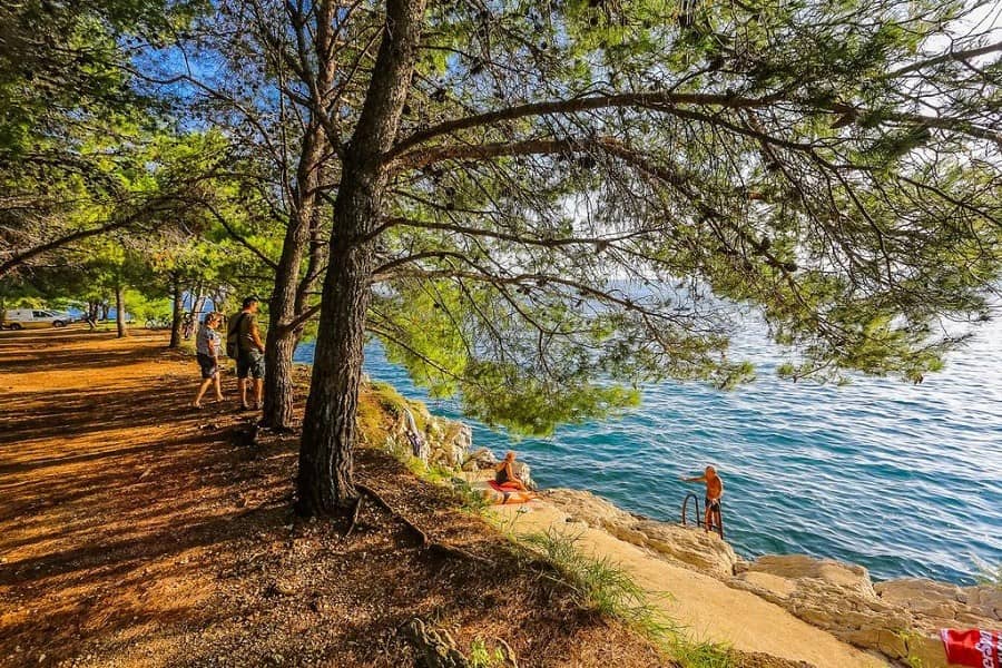 Varied Swimming Spots