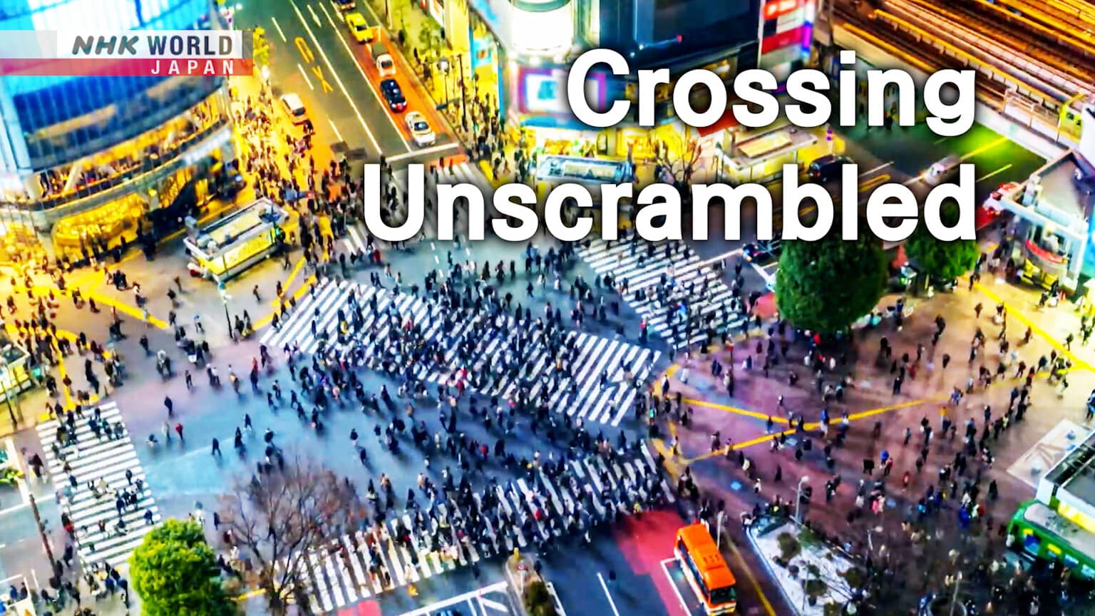 Interactive Program Experiences