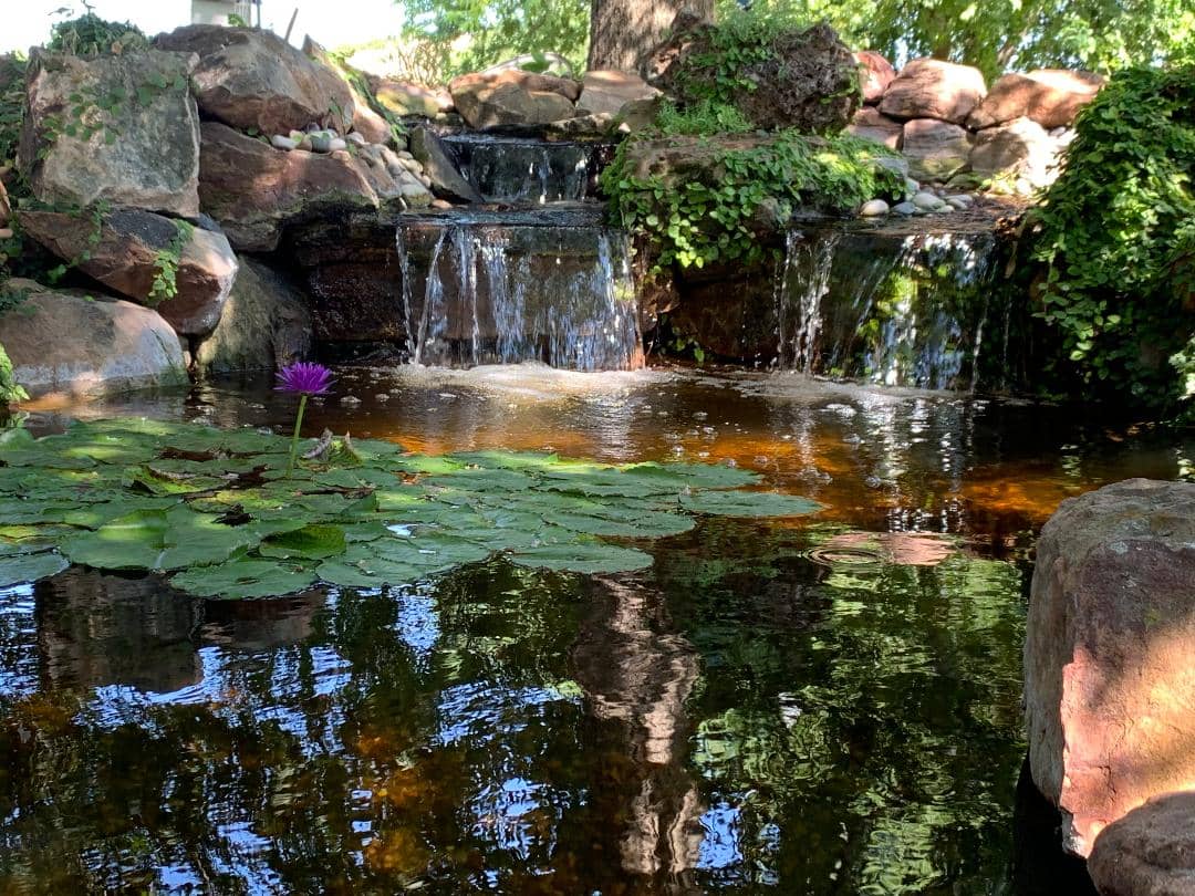 Koi Ponds & Waterfalls