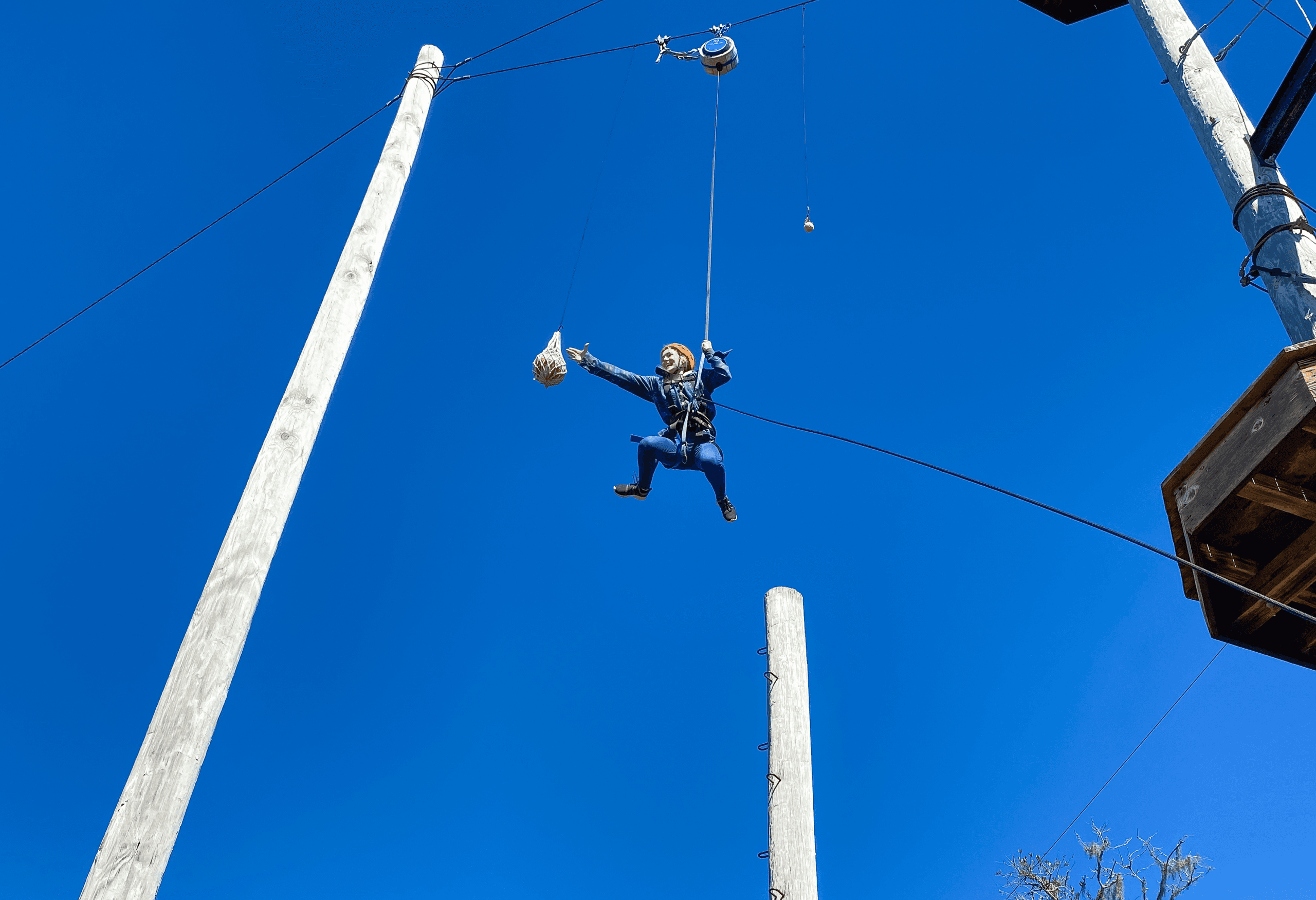 Leap of Faith