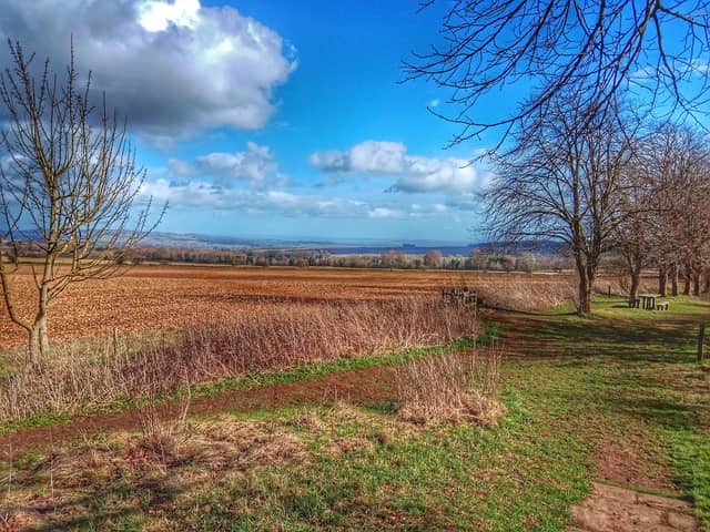 Fish Ranch Viewpoint Fish Hill Viewpoint (2026) – Best of TikTok, Instagram & Reddit Travel ...