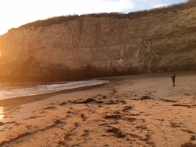 Shark Fin Rocks Shark Fin Cove (2026) – Best of TikTok, Instagram & Reddit Travel Guide