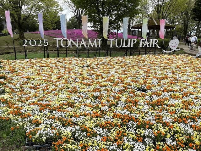 Tonami Tulip Park (2026) – Best of TikTok, Instagram & Reddit Travel Guide